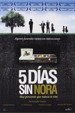 Poster di Cinco días sin Nora