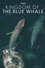 Poster for Kingdom of the Blue Whale 