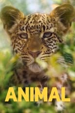 Poster for Animal Season 1