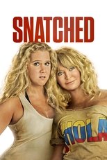 Snatched poster movie