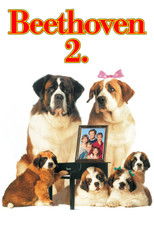 Beethoven 2