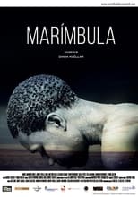 Poster for Marímbula 