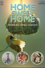 Home Sweet Home - Incredible Animal Habitats poster