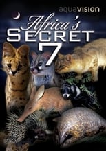 Poster for Africa's Secret Seven 