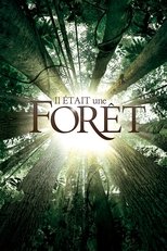 Poster di Il était une forêt