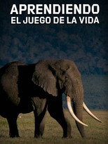Aprendiendo el juego de la vida poster