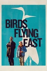 Birds Flying East main poster