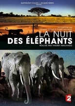 Poster for La Nuit des éléphants