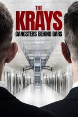 Poster for The Krays: Gangsters Behind Bars