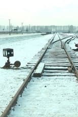 Mina 19 876 steg i Auschwitz / Birkenau