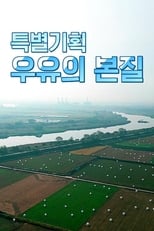 Poster for 특별기획 우유의 본질