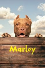 Poster for Marley