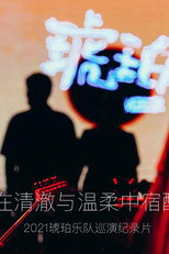 琥珀，在清澈与温柔中宿醉 poster