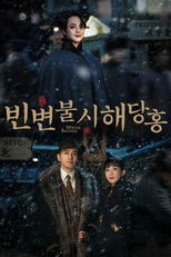 빈변불시해당홍