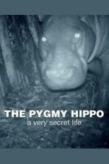 Poster for The Pygmy Hippo: A Very Secret Life