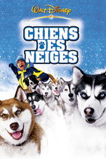 Chiens des neiges