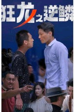 狂龙之逆鳞 poster