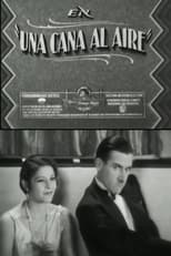 Poster for A gray in the air 