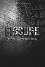 FISSURE poster