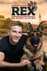 Rex (2017)