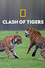 Poster for Clash of Tigers 