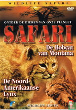 Safari: De Bobcat van Montana / De Noord-Amerikaanse Lynx poster