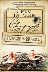 Poster for A Fly in the Champagne