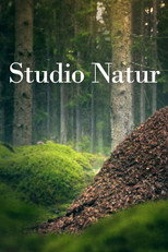 Studio Natur poster
