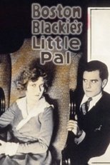 Poster for Boston Blackie's Little Pal