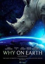 Poster di Why On Earth