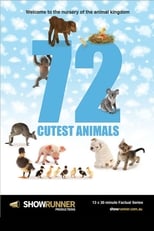 Poster for 72 Cutest Animals