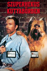 Szuperhekus kutyabőrben