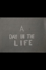 A Day in the Life