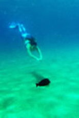 DER SCHWIMMER UND DIE MEERJUNGFRAU poster