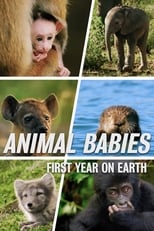 Poster for Animal Babies: First Year On Earth