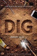 Dig poster