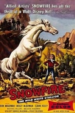 Poster di Snowfire