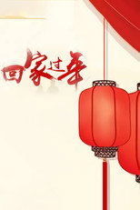 回家过年 poster