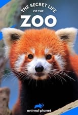 Poster for The Secret Life of the Zoo Season 4