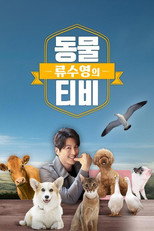 류수영의 동물티비 poster
