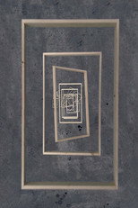 Falling Frames poster