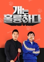 Poster di 개는 훌륭하다