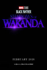 Black Panther 3 poster