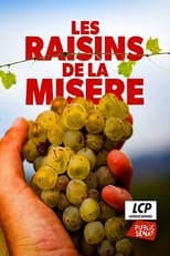 Poster for Les raisins de la misère