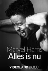 Poster for Marvel Harris Alles Is Nu 