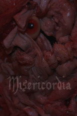 Misericordia