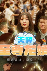 天降至尊龙婿 poster