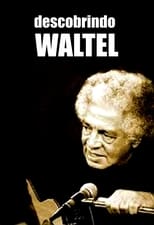 Poster for Descobrindo Waltel