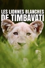 Poster for La terre des lionnes blanches