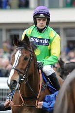 ROAD TO CHELTENHAM (2019)